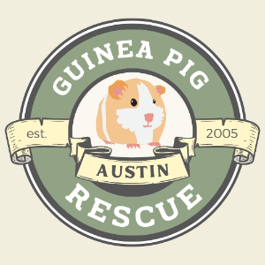 Sticker: Est 2005 (large)