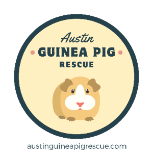 Sticker: Simply cute