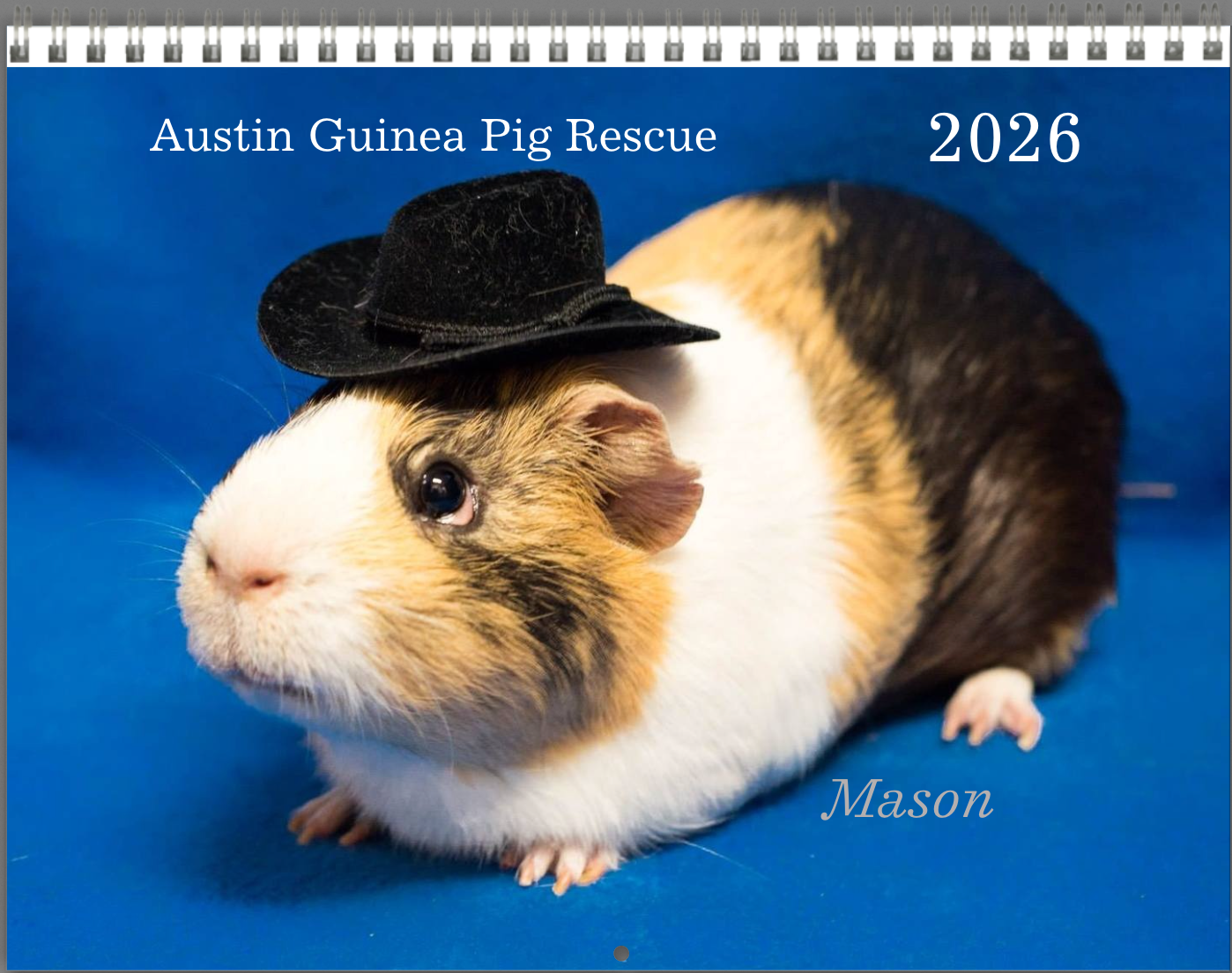 2026 Calendar