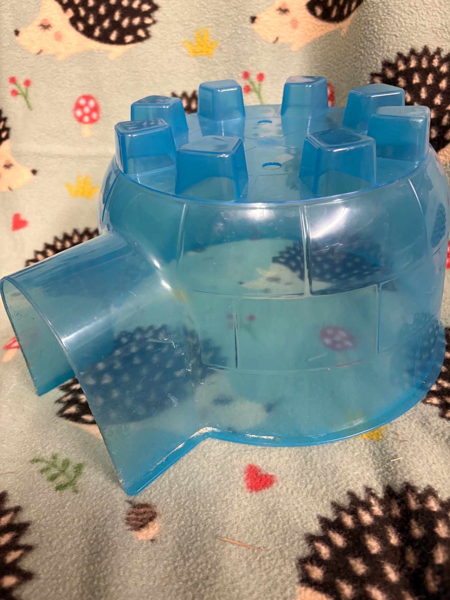 Igloo hideout (used)